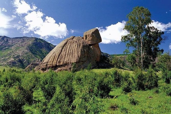1 Day Coach Tour of Terelj National Park Including Lunch And Free Camel Ride - The real appeal: a signature day outside Ulaanbaatar