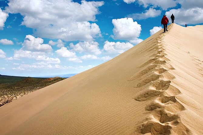 1 Day Express Tour: Altyn Emel National park - What’s included for $526: the value math that matters on a long drive