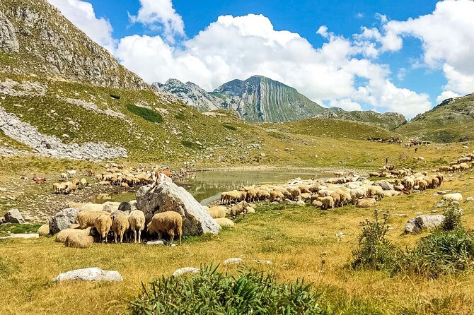 1-Day Montenegro Hiking Tour to Durmitor National Park - Food on the road: breakfast, dinner, and keeping your drinks realistic