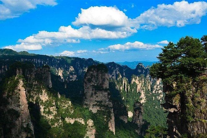 1-Day Private Tour to ZJJ Forest Park with Off the Beaten Tracks - Price and What You’re Actually Getting for $115