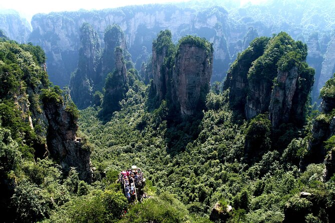 1-Day Private Tour to ZJJ Forest Park with Off the Beaten Tracks - South Gate Entry: A Quieter Start Than the Usual East Gate