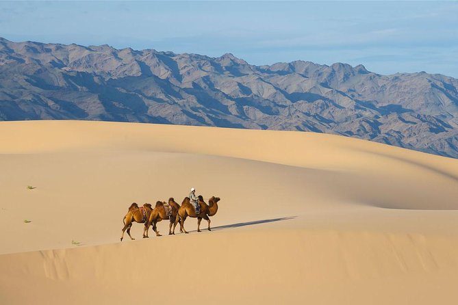 1 Day Semi-Gobi Tour Including Lunch And Free Camel +Bonus Khustai National Park - A 5:00 am start for the Semi-Gobi’s big dunes