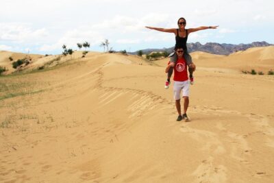 1 Day Semi-Gobi Tour Including Lunch And Free Camel +Bonus Khustai National Park - Lunch on the move, plus a quick Gobi Cashmere stop