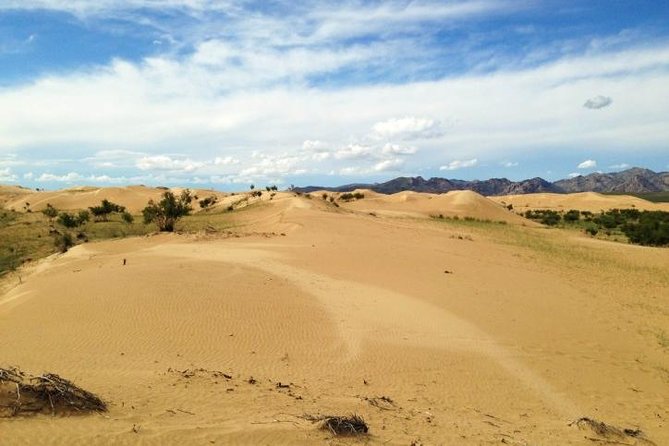 1 Day Semi-Gobi Tour Including Lunch And Free Camel +Bonus Khustai National Park - Timing and vehicle comfort: what you should check before confirming