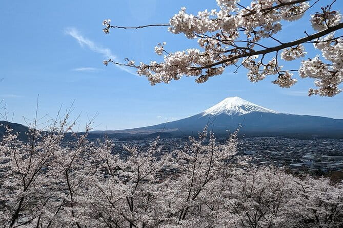 1 Day Tour Explore Nikko’s World Heritage and National Park - Transport Passes, Tight Timing, and Why This Tour Feels Easier