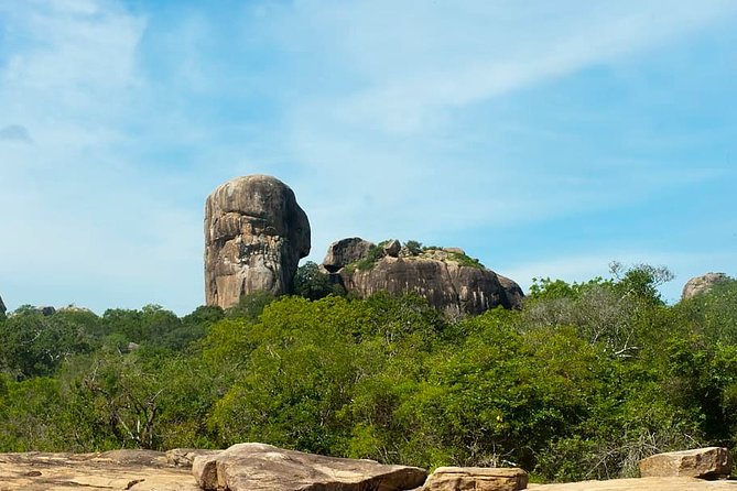1 Day tour to Yala National Park or Udawalawe National Park - Safari jeep reality check: what you should plan for