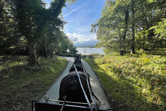 1 Hour Guided Carriage Tour in Killarney National Park - Key highlights at a glance