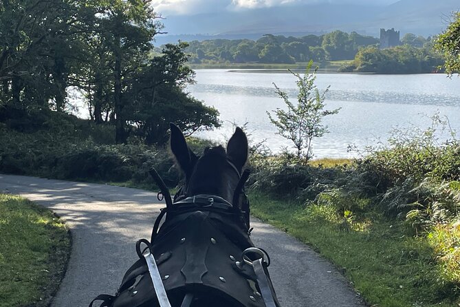 1 Hour Guided Carriage Tour in Killarney National Park - Your guide on a carriage: great info, but audio can be tricky