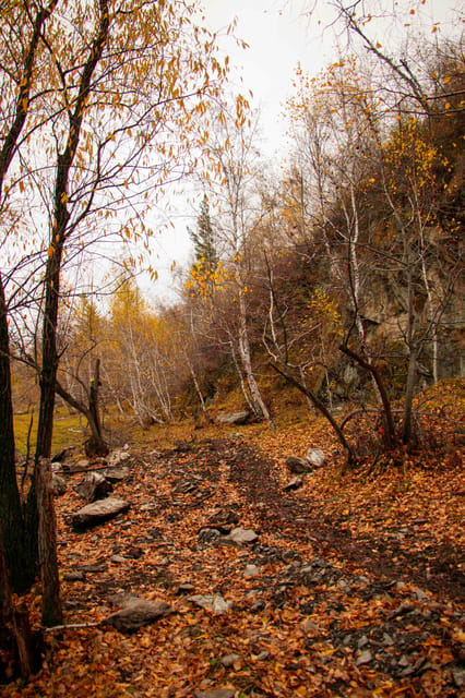 2 Day Horse trekking in Terelj national park - Packing checklist: what matters for a horse trek