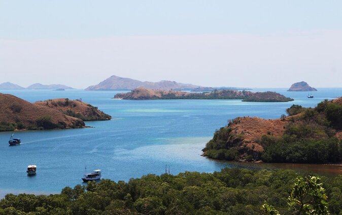 2-Day Komodo National Park and Rinca Island Wildlife Adventure from Bali - Key things to know before you go