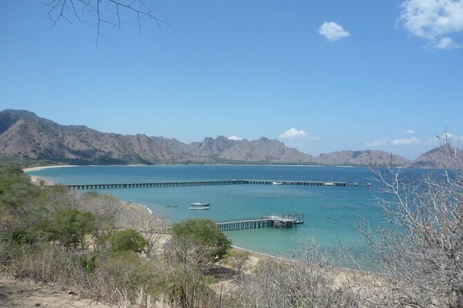 2-Day Komodo National Park and Rinca Island Wildlife Adventure from Bali - Day 2 flight back to Bali: a short day that still has a job