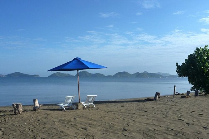 2-Day Komodo National Park and Rinca Island Wildlife Adventure from Bali - Price and logistics: what’s included, what you’ll pay extra
