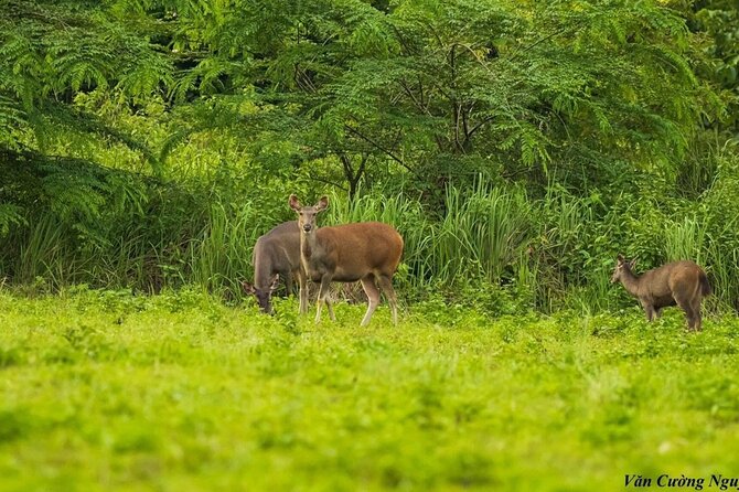 2-Day Trekking & Biking Nam Cat Tien National Park from HCM City - What to pack for Cat Tien (based on the reality of leeches and rain)