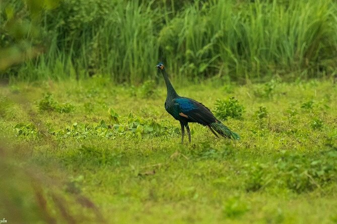 2-Day Trekking & Biking Nam Cat Tien National Park from HCM City - Who this tour fits best (and who might prefer something else)