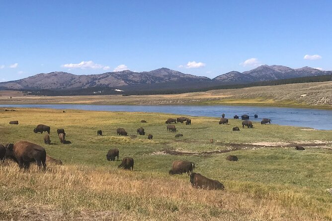 2-Day Yellowstone National Park Upper and Lower Loop Exploration - Food, Lodging, and the Extra Costs You Should Budget