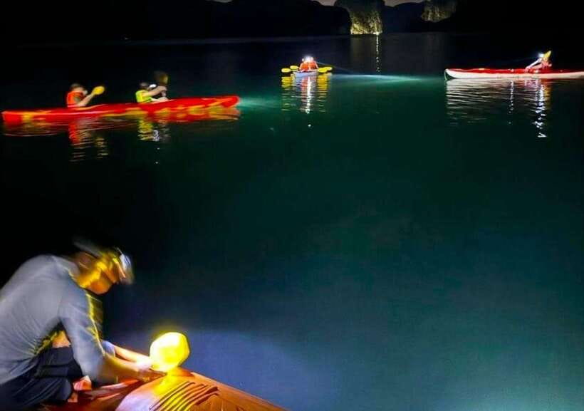 2 Days 1 Night Adventure: Cat Ba National Park, Lan Ha Bay - Who This Trip Fits Best