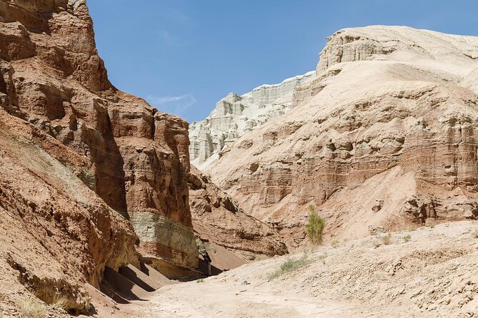 2 Days Tour: Altyn Emel National Park – Singing Dunes & Aktau Mountains - Key highlights to look forward to
