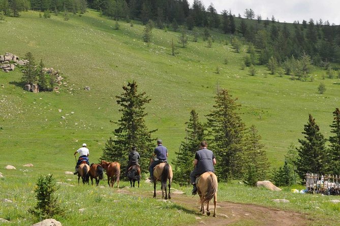 2 Days Tour: Terelj National Park And Chinggis Statue - From Ulaanbaatar at 8:00 am: how this tour actually runs