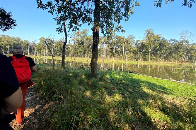 2 Hours Nature Walk in Chitwan National Park - Quick Highlights You’ll Feel in Your Boots