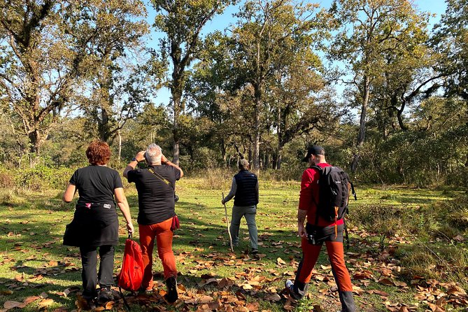 2 Hours Nature Walk in Chitwan National Park - Meeting Your Jungle Guide: English-Speaking and Forest-Reading