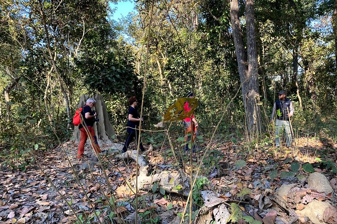 2 Hours Nature Walk in Chitwan National Park - What the 2-Hour Format Gets Right (and What It Doesn’t)