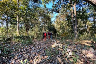 2 Hours Nature Walk in Chitwan National Park - Walking Through Chitwan National Park: Birds, Quiet Paths, and Animal Chances
