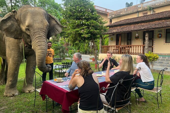 2 Nights 3 Days Chitwan National Park Package with Jeep Safari - Day 3: return to Kathmandu with less friction