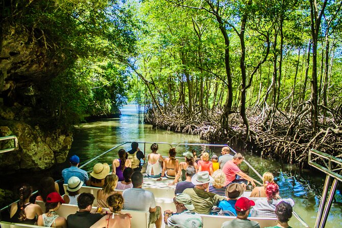2in1: Los Haitises National Park + Yanigua Waterfall-SPA - What You’ll Remember Most