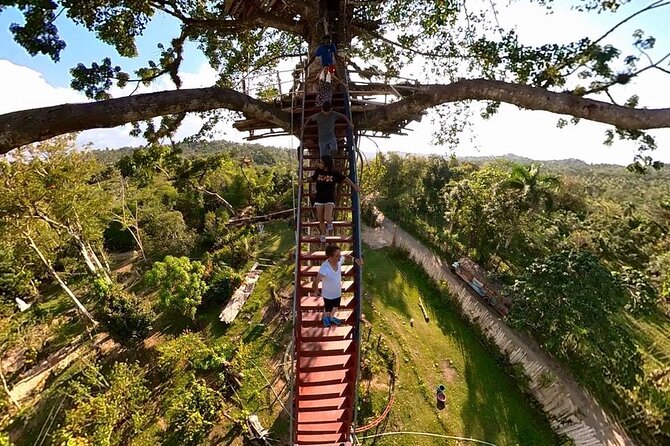 2in1: Los Haitises National Park + Yanigua Waterfall-SPA - Two Parks, One Long Day: How the Timing Works
