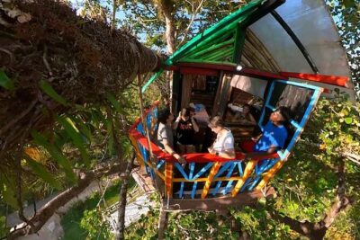 2in1: Los Haitises National Park + Yanigua Waterfall-SPA - Tainos Caves and the 500-year-old paintings you can actually see