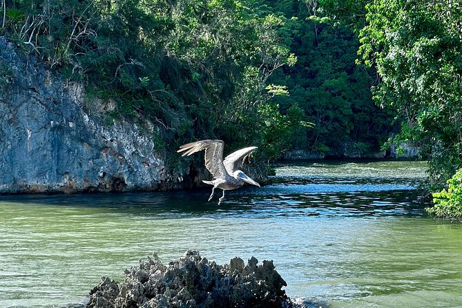 2in1: Los Haitises National Park + Yanigua Waterfall-SPA - Food, Drinks, and What’s Actually Included