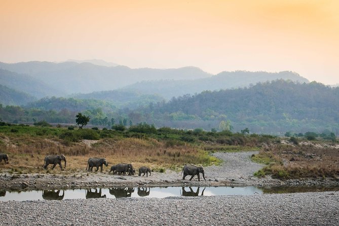 2N Jim Corbett National Park (Dhikala Zone) - Key highlights you’ll care about