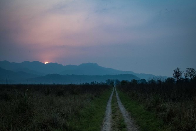 2N Jim Corbett National Park (Dhikala Zone) - The open-gypsy format: why it’s worth your back for better sightings
