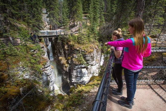 3-Day Authentic Jasper National Park Packaged Tour - Day 2: Jasper National Park staples—Columbia Icefield area, waterfalls, Maligne Lake, Spirit Island