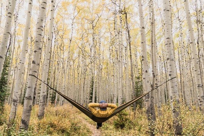 3-Day Authentic Jasper National Park Packaged Tour - Day 3: Pyramid Lake, Maligne Canyon, Athabasca Falls, Peyto Lake, Emerald Lake, Natural Bridge