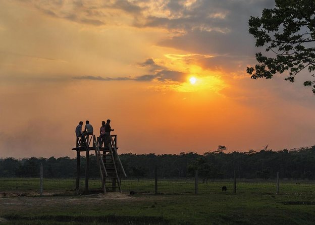 3-Day Chitwan National Park Jungle Safari Tour Package with Pick Up - Key things I’d clock before you go