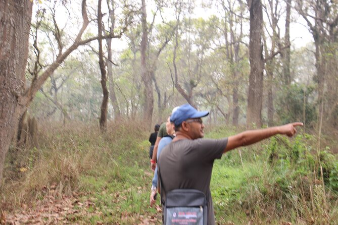 3-Day Chitwan National Park Jungle Safari Tour Package with Pick Up - What You’re Getting for $180: Meals, Park Fees, and Two Nights Near Chitwan