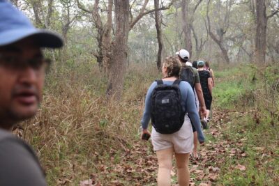 3-Day Chitwan National Park Jungle Safari Tour Package with Pick Up - Day 2 Safari Rhythm: Rapti Canoe, Birding, and the Chitwan Wildlife Circuit