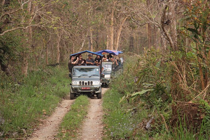 3-Day Chitwan National Park Jungle Safari Tour Package with Pick Up - Hotel and Group Size: Comfort Level for a Three-Star Stopover