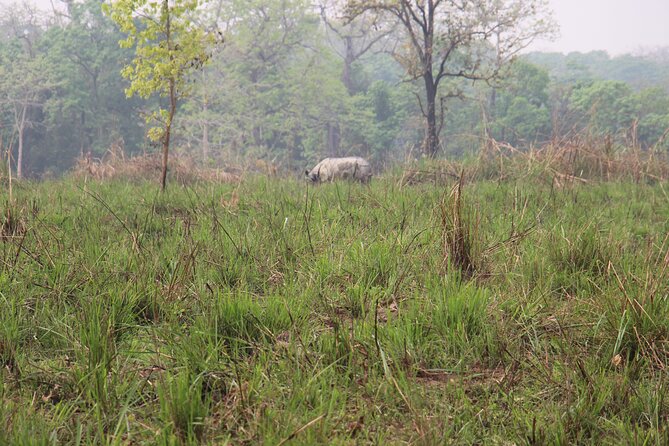 3-Day Chitwan National Park Jungle Safari Tour Package with Pick Up - Who This Tour Suits Best (and Who Might Prefer Something Else)