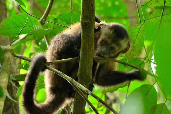 3-Day Eco-Sustainable Private Tour Manu National Park - A short Manu trip that still feels like you left the world