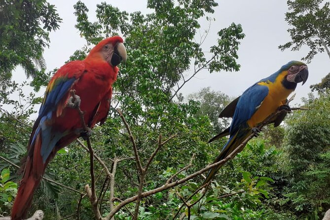 3-Day Eco-Sustainable Private Tour Manu National Park - Eco-sustainable details that feel practical, not performative