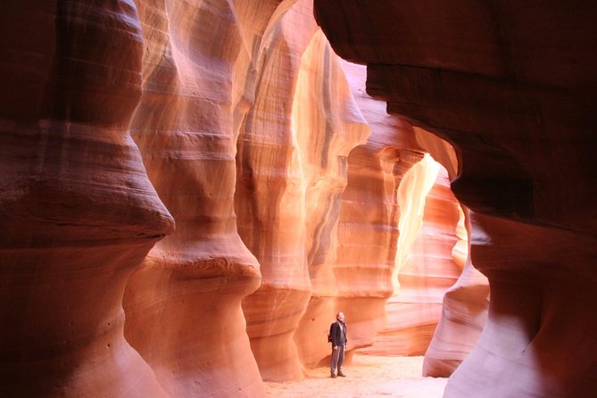 3-Day Grand Canyon, Monument Valley and Zion Tour from Las Vegas - Day 3: Grand Canyon South Rim and a Route 66 send-off