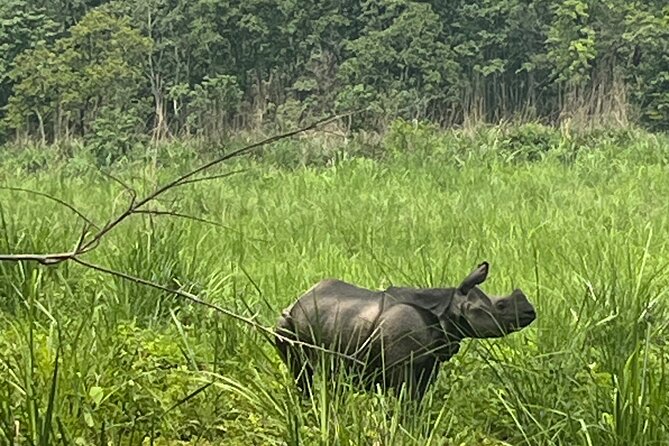 3-Day Guided Safari Tour in Chitwan National Park in Nepal - Kathmandu to Chitwan: the long drive that makes the trip