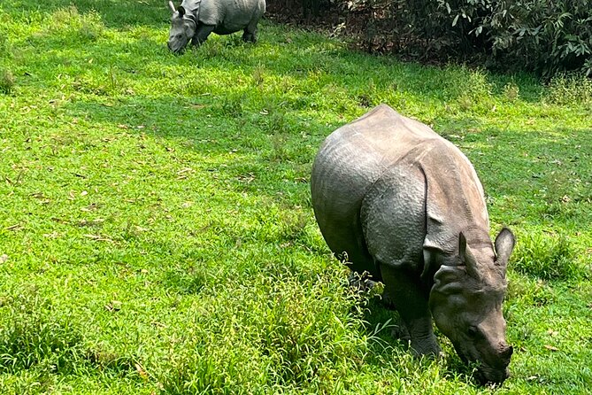 3-Day Guided Safari Tour in Chitwan National Park in Nepal - Tharu Village Tour + jeep safari: culture that doesn’t feel tacked on