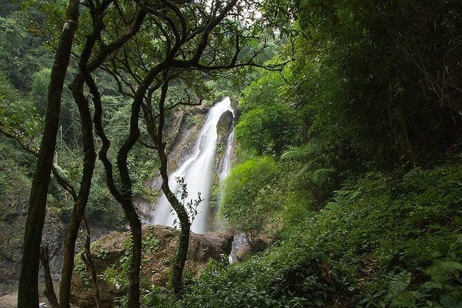 3 Day Phuket to Khao Sok National Park Tour Package - Day 3: jungle hiking, cave trekking, and staying inland