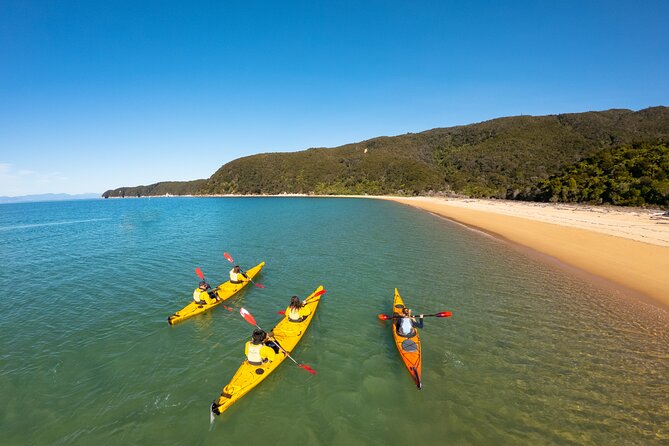 3 Day Unguided Kayaking starting in the Abel Tasman National Park New Zealand - Price and value: what $225.89 covers (and what it doesn’t)