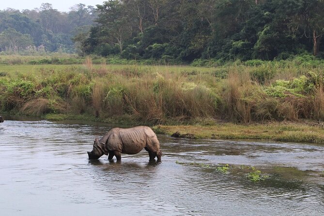 3 Days and 2 Nights Chitwan National Park Safari Tour in Pokhara - Day 1 in Chitwan: Sauraha-area arrival and Tharu village culture