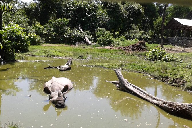 3 Days and 2 Nights Chitwan National Park Safari Tour in Pokhara - Day 3: Leaving Chitwan after a final morning and check-out