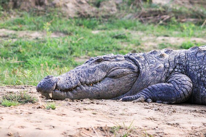 3 Days and 2 Nights Chitwan National Park Safari Tour in Pokhara - Price and value: what $215 buys you (and what it doesn’t)